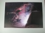 preview12